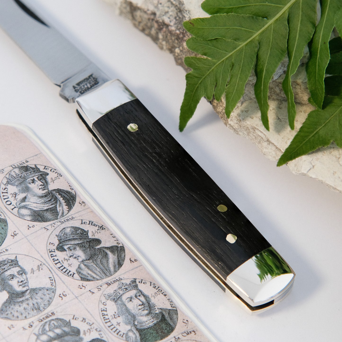 Senator Lambsfoot Bog Oak