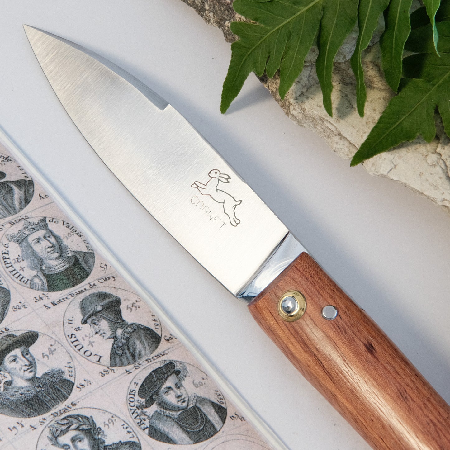 Capuchin Pallisandre