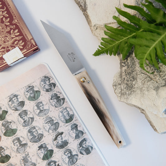 Montpellier Horn Tip