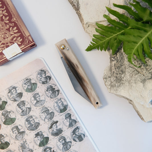 Montpellier Horn Tip