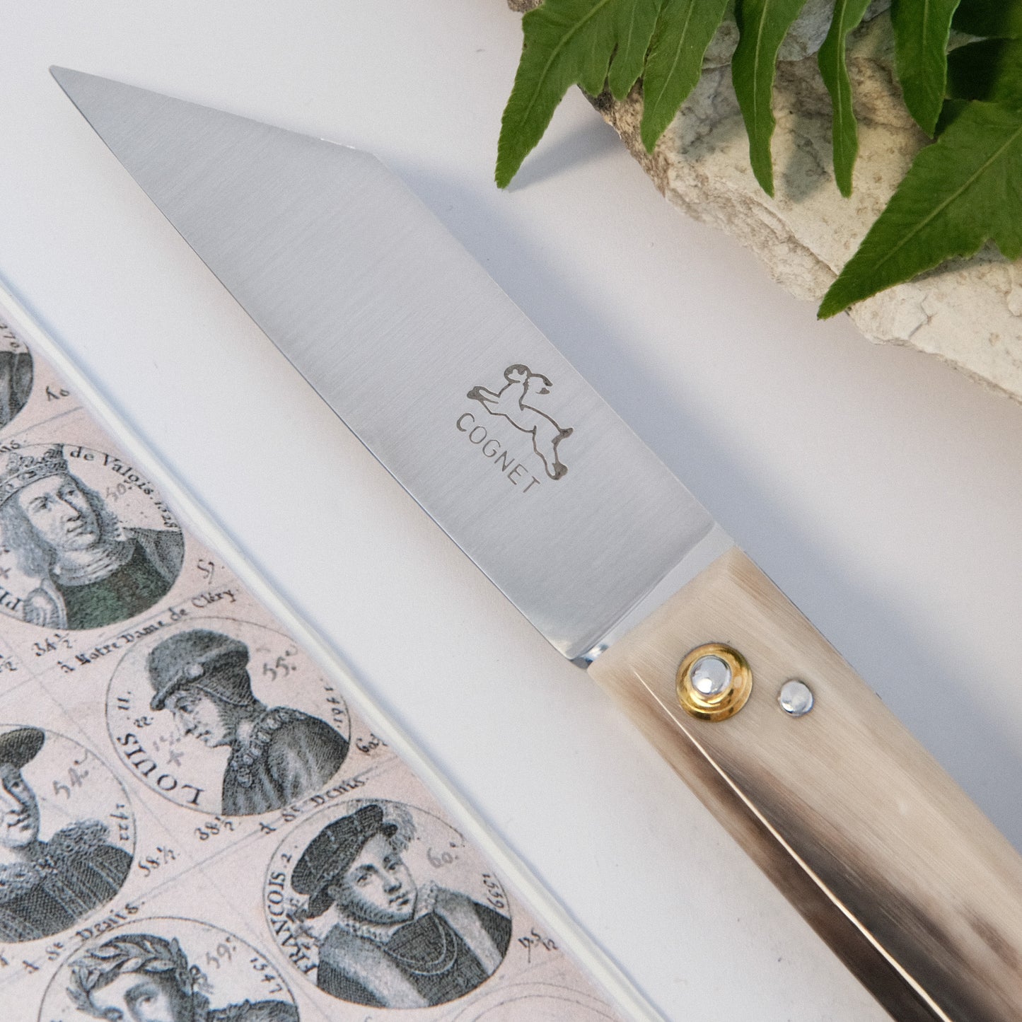 Montpellier Horn Tip