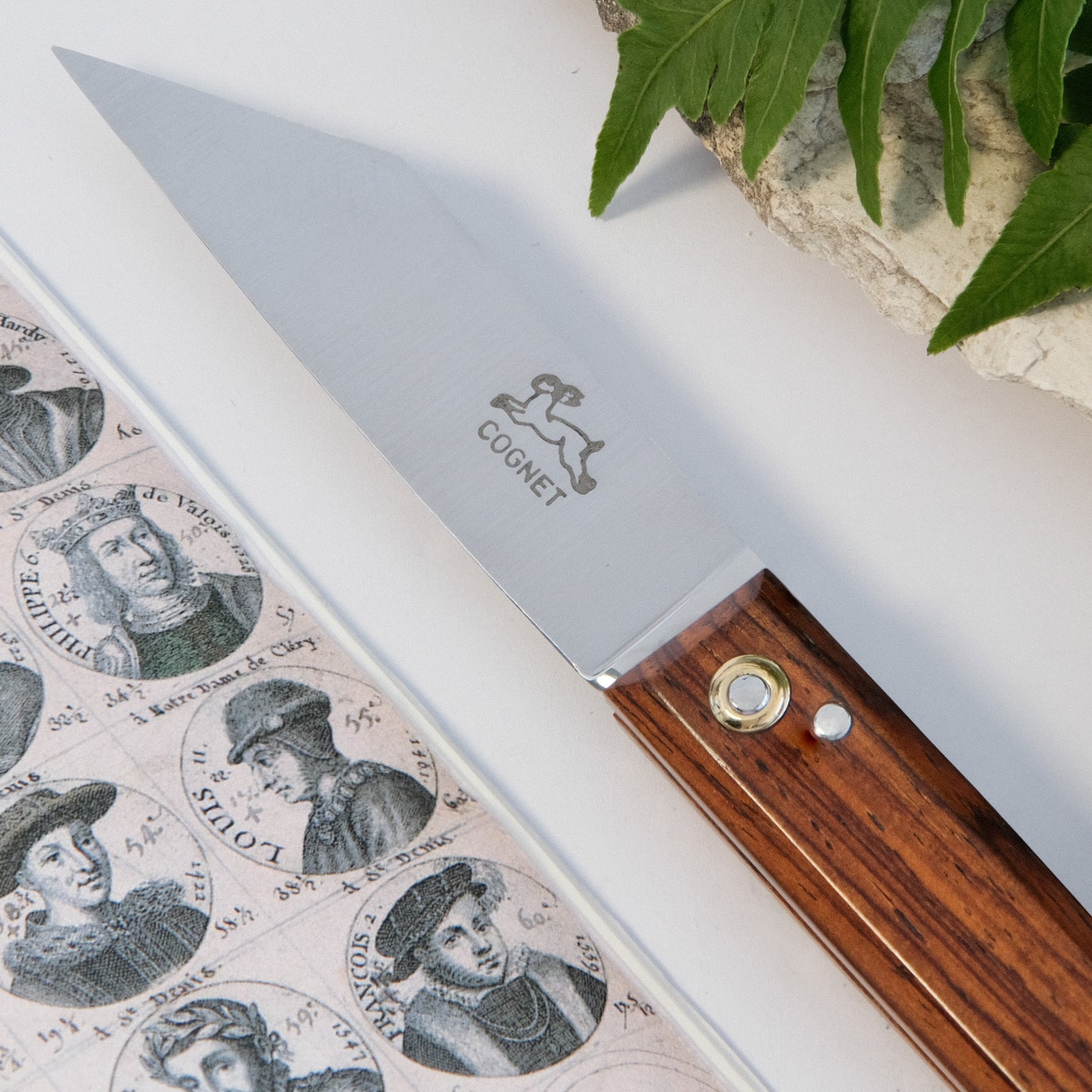 Montpellier Cocobolo