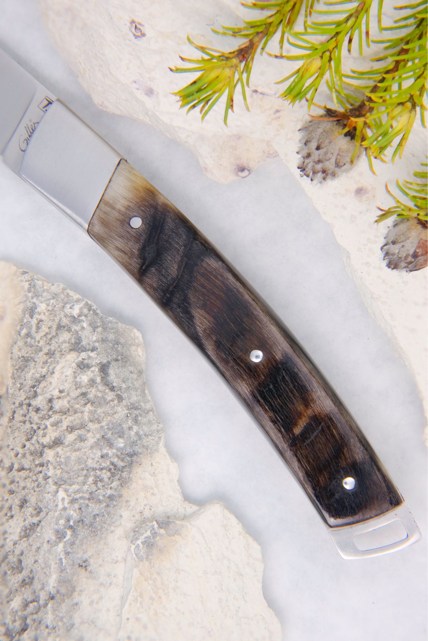 Le Thiers Nature Dark Ram Horn