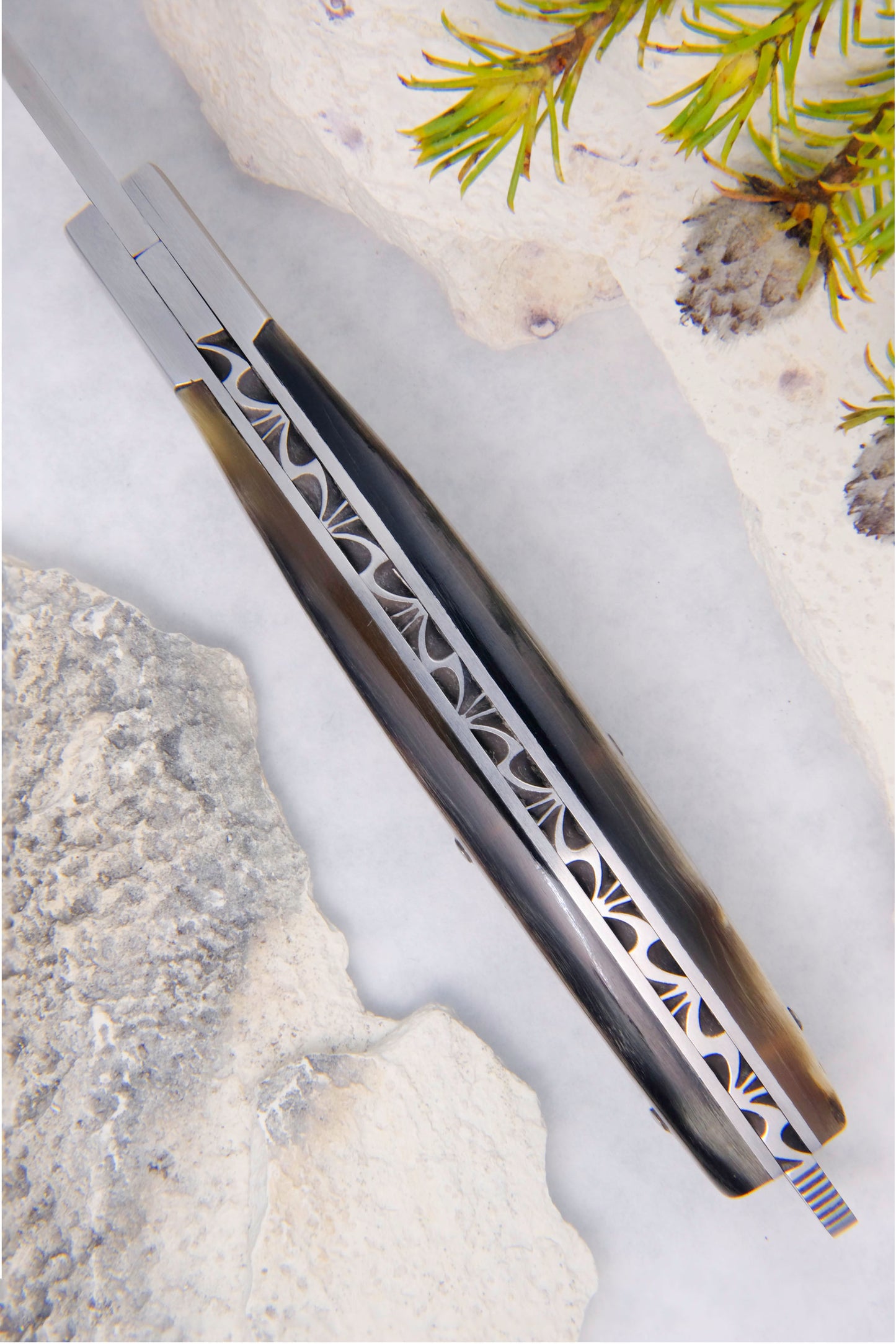 Le Thiers Nature Dark Ram Horn
