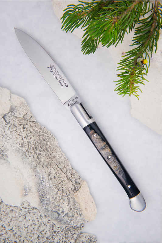 Saint Martin Knife Buffalo Horn