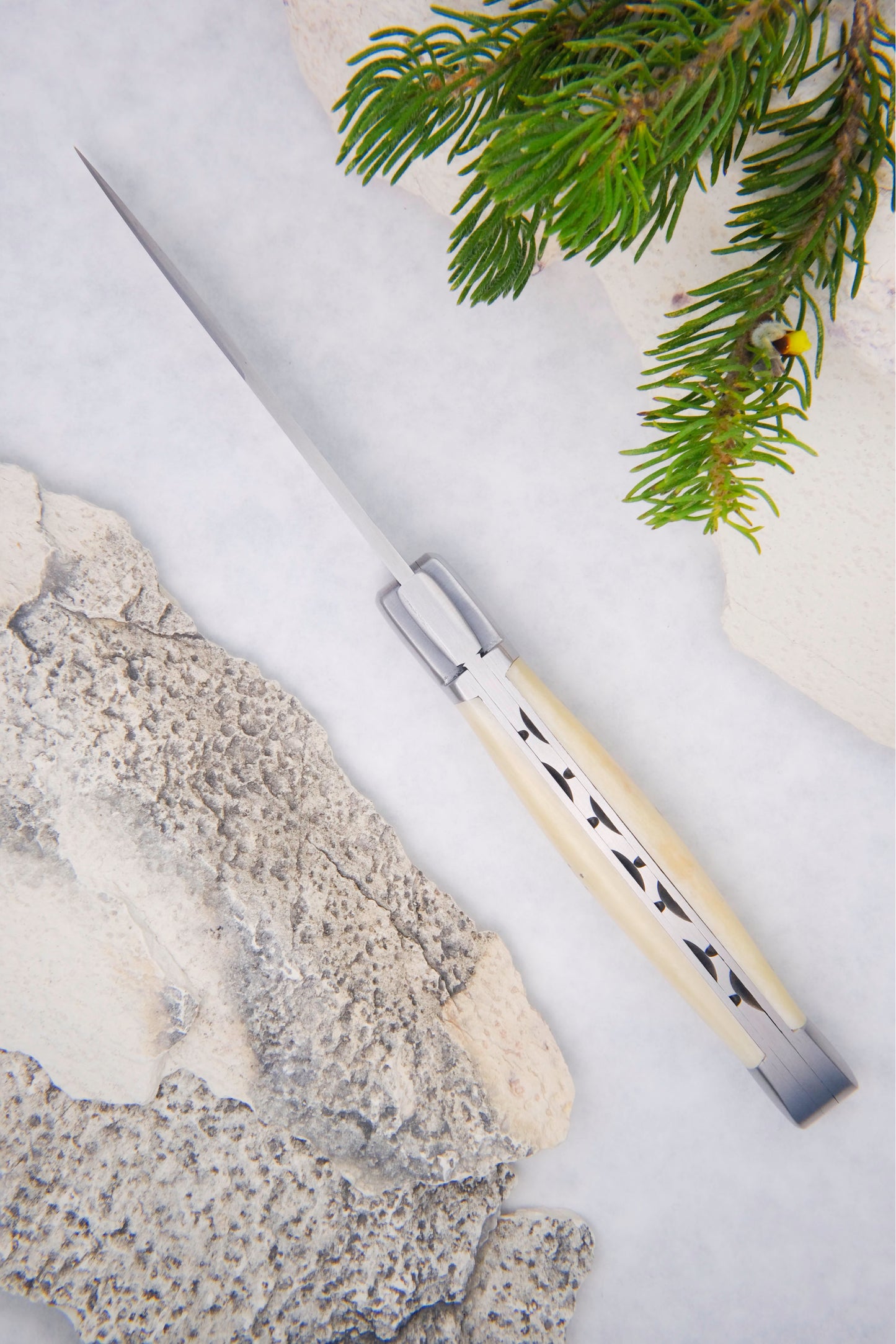 Saint Martin Knife Bone
