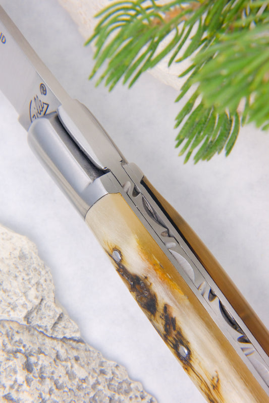 Saint Martin Knife Ram Horn