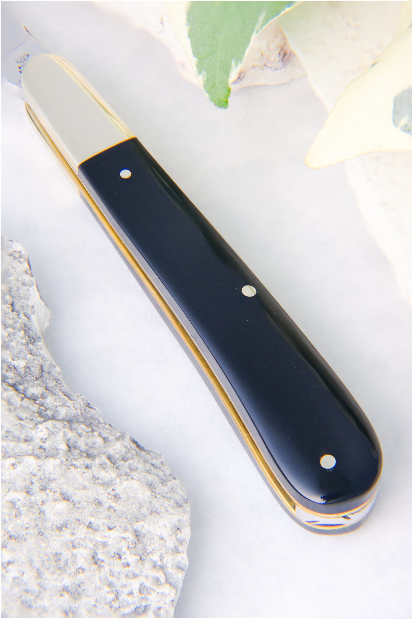 Slim Clip Point Buffalo Horn