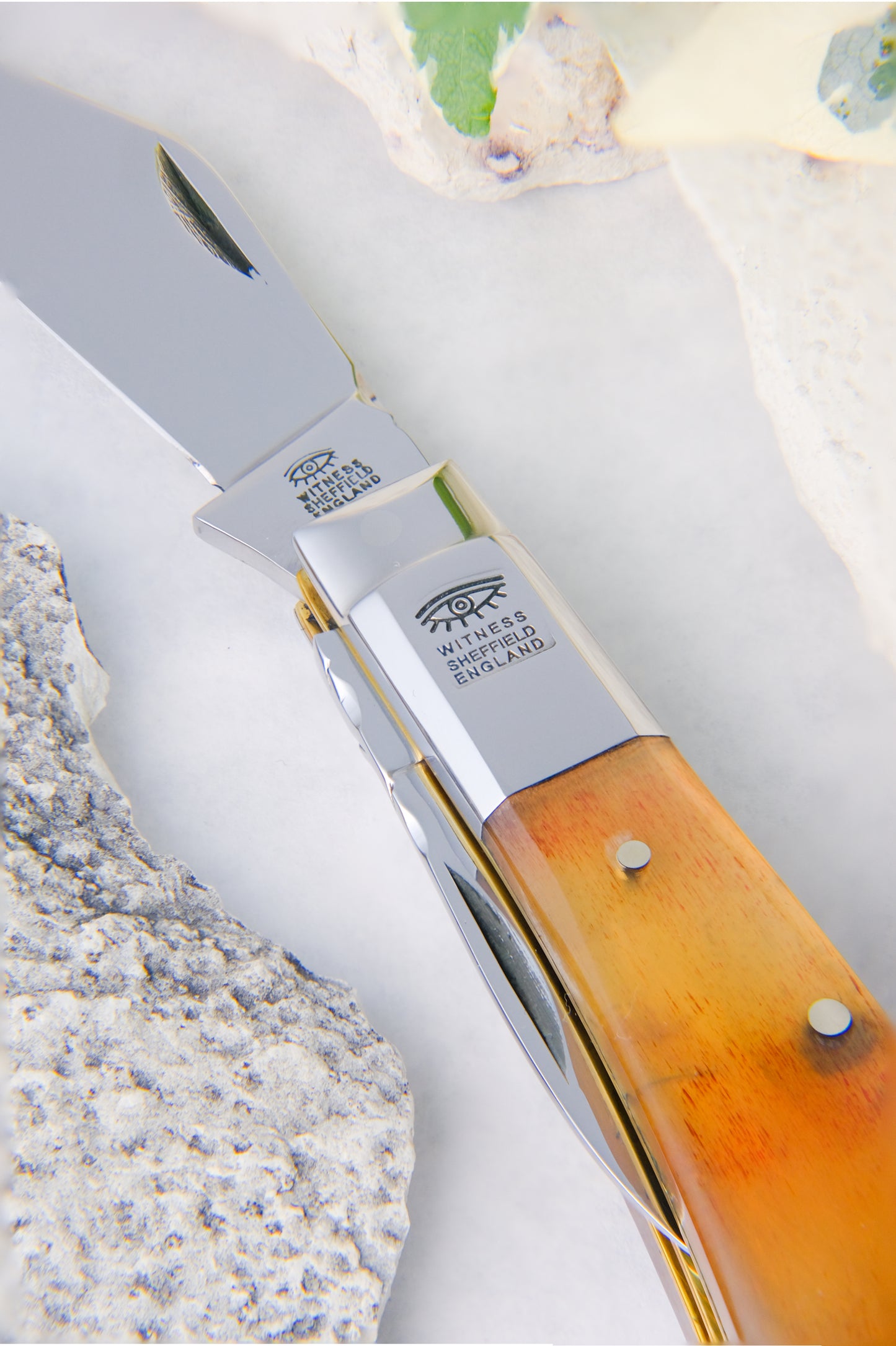 Cow Horn Barlow with Pen Blade