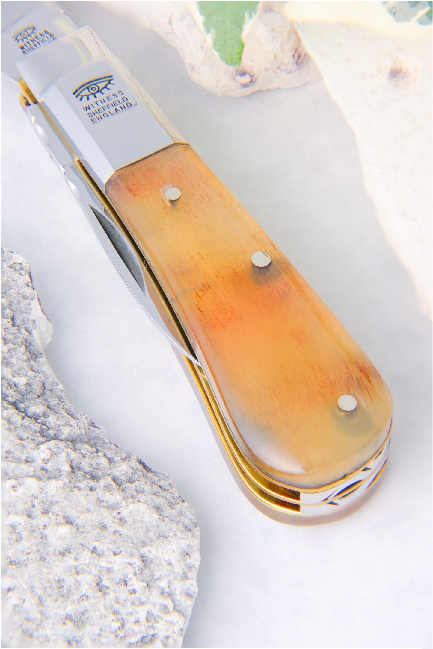 Cow Horn Barlow with Pen Blade