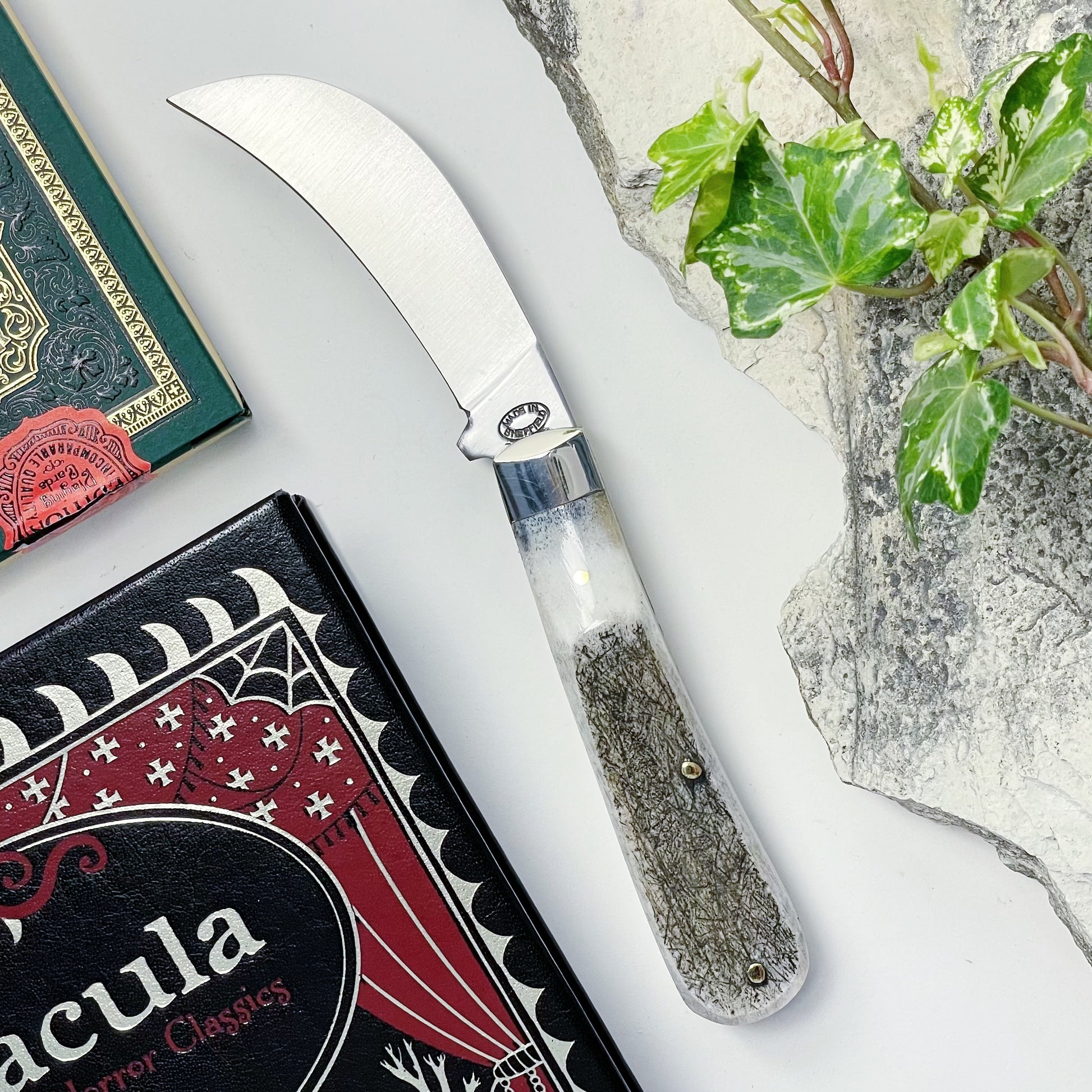 Arthur Wright and Sons pruner pocket knife with stag horn handle opened