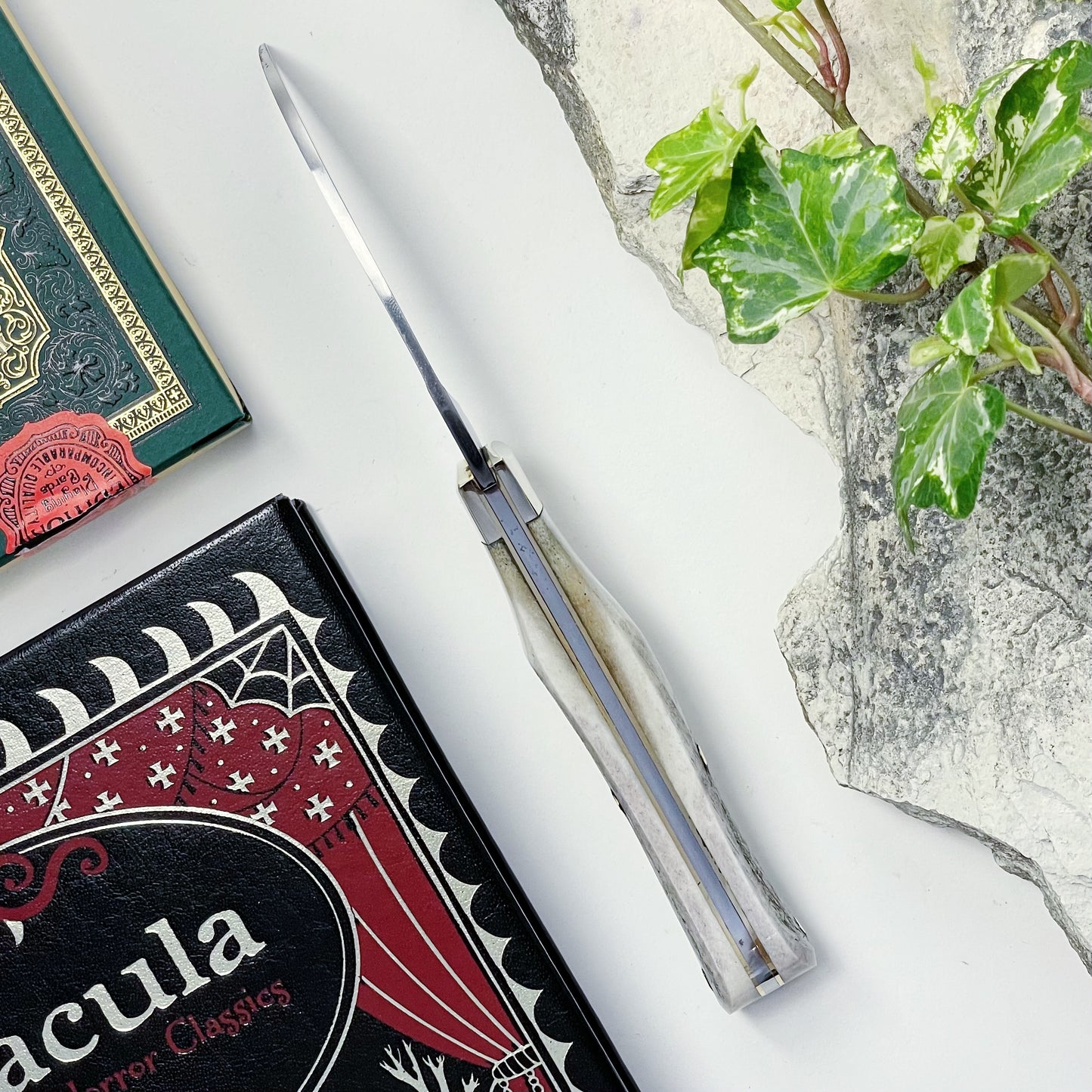 Arthur Wright and Sons pruner pocket knife with stag horn handle spine