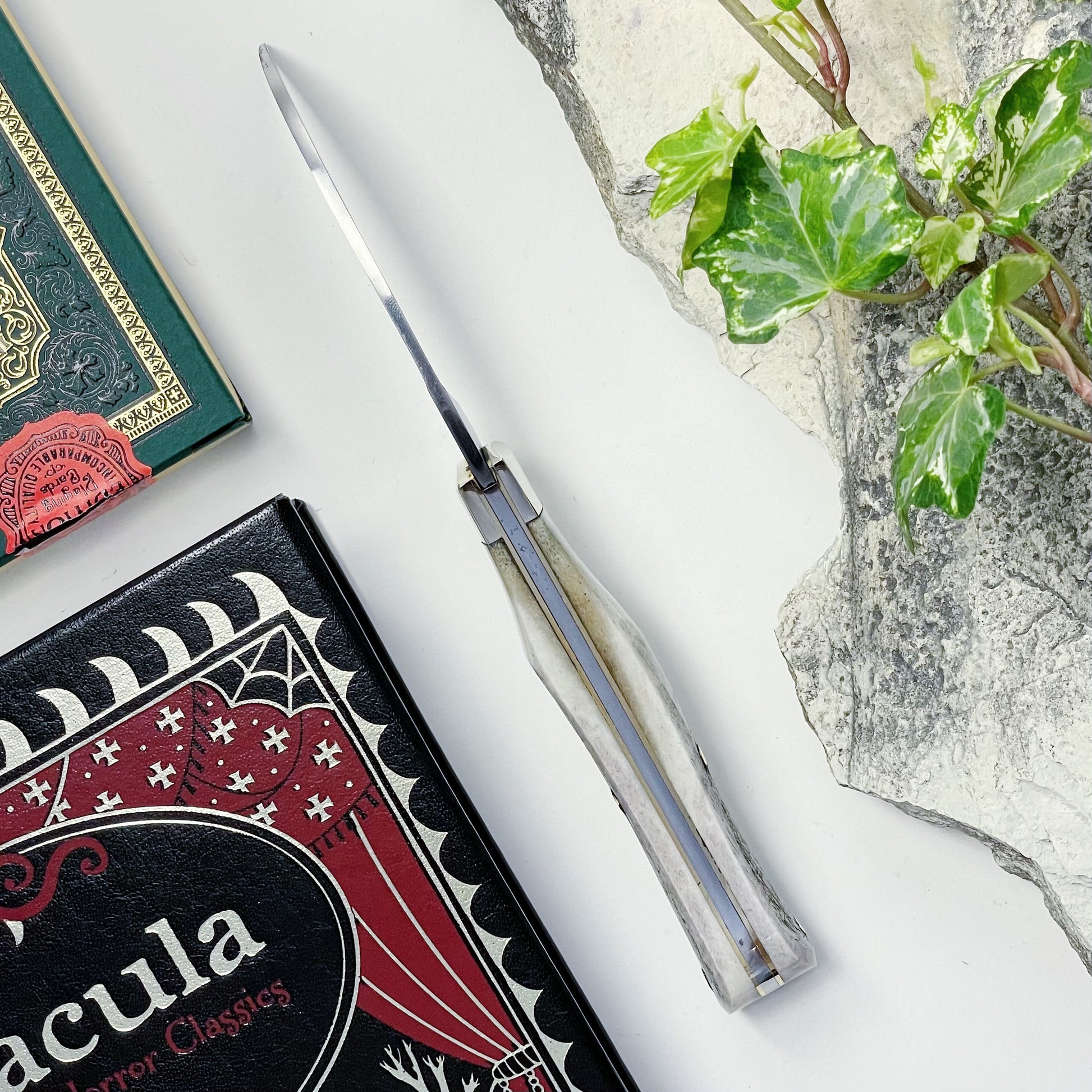 Arthur Wright and Sons pruner pocket knife with stag horn handle spine