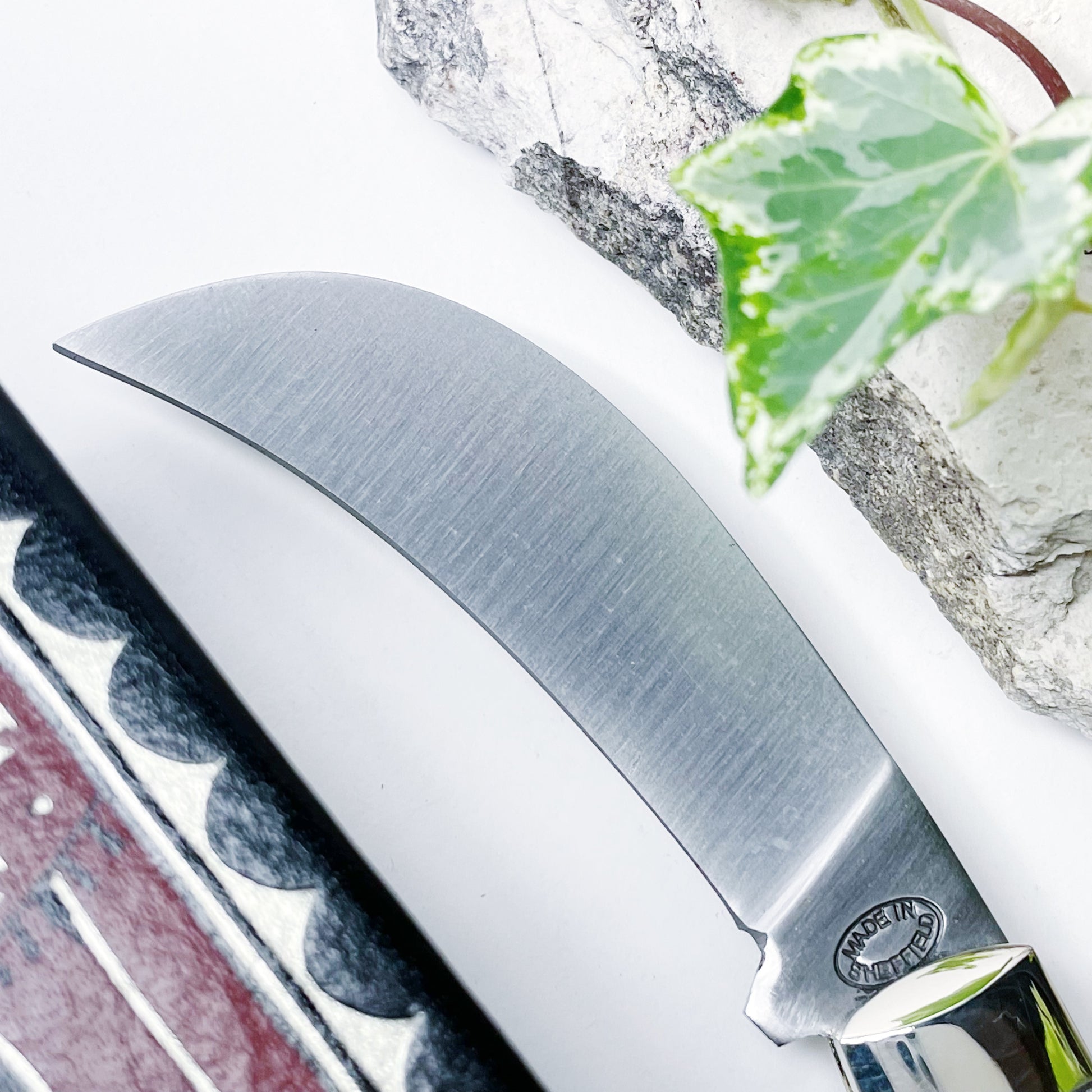 Hawkbill blade of Arthur Wright and Sons pruner with stag horn handle