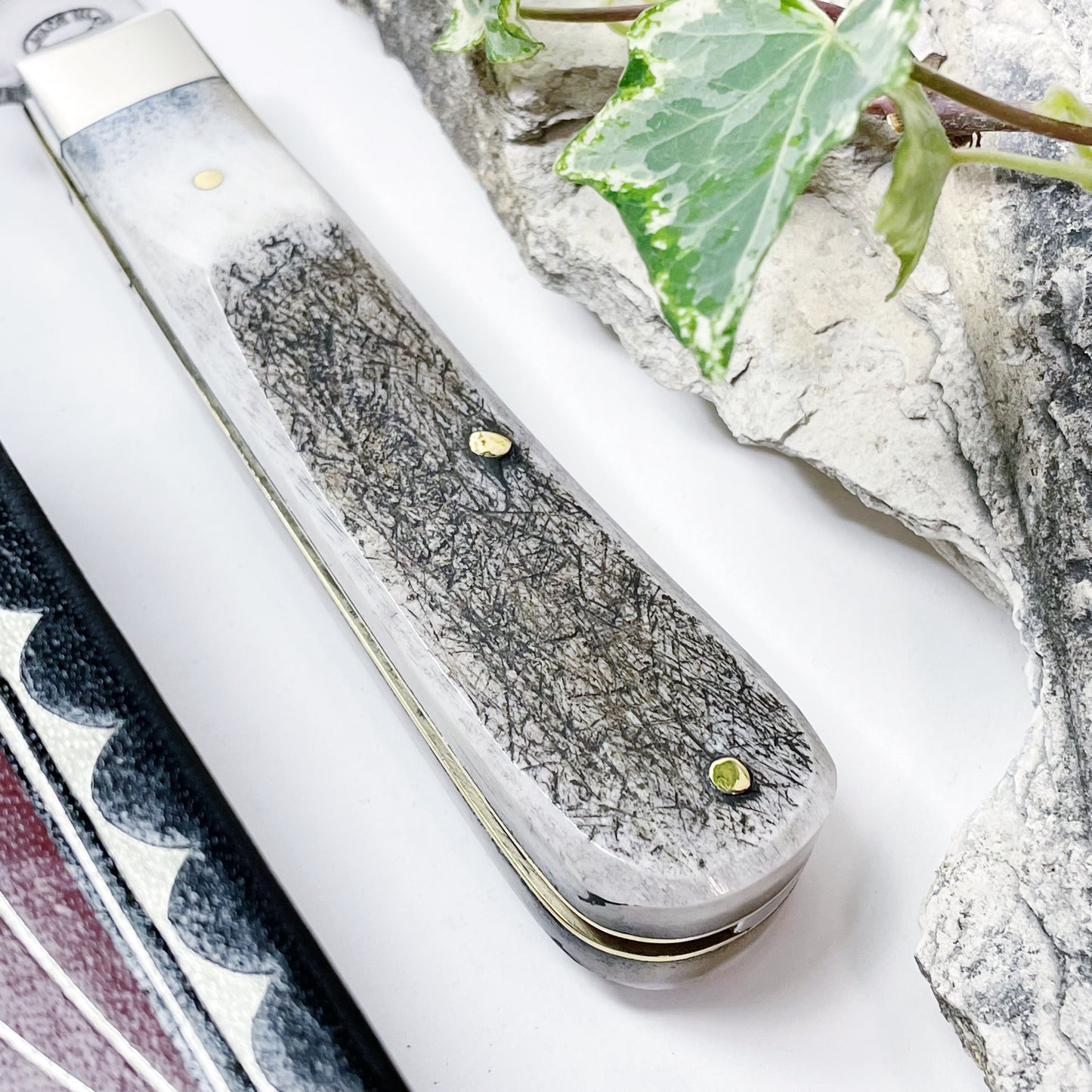 Stag horn handle of Arthur Wright and Sons pruner pocket knife