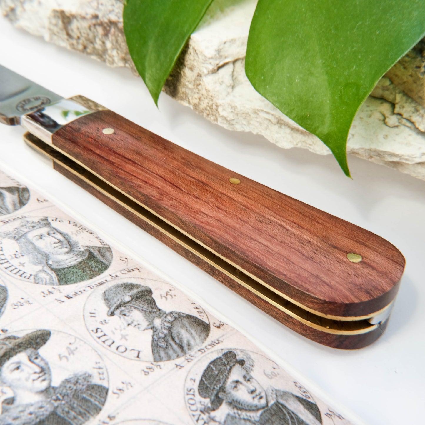3.5" Lambfoot Bubinga
