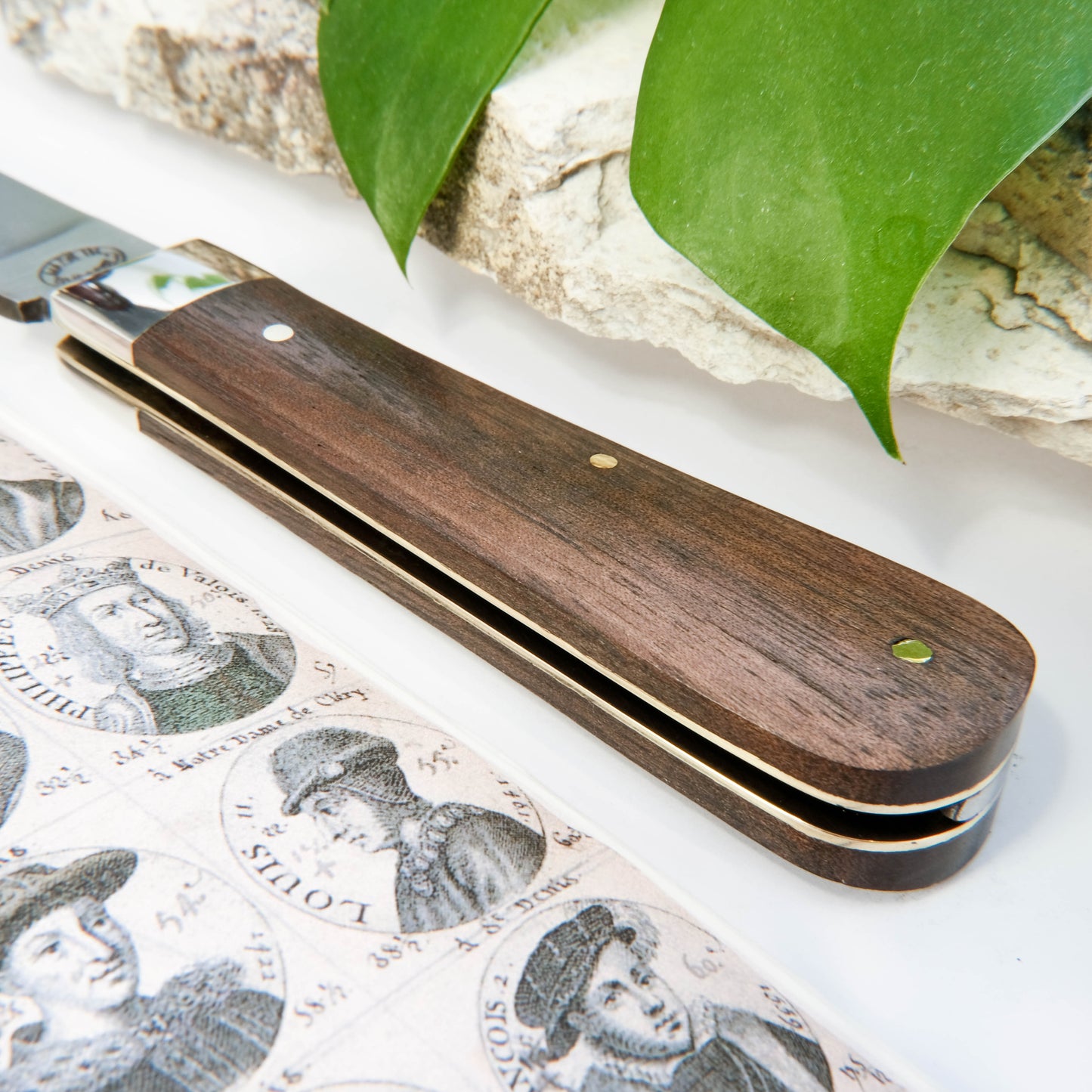 3.5" Lambsfoot Walnut