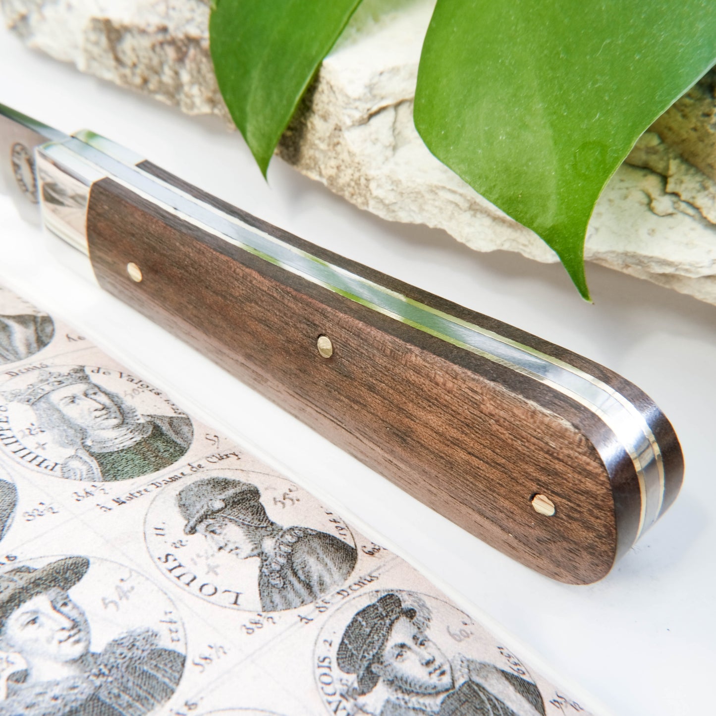 3.5" Lambsfoot Walnut