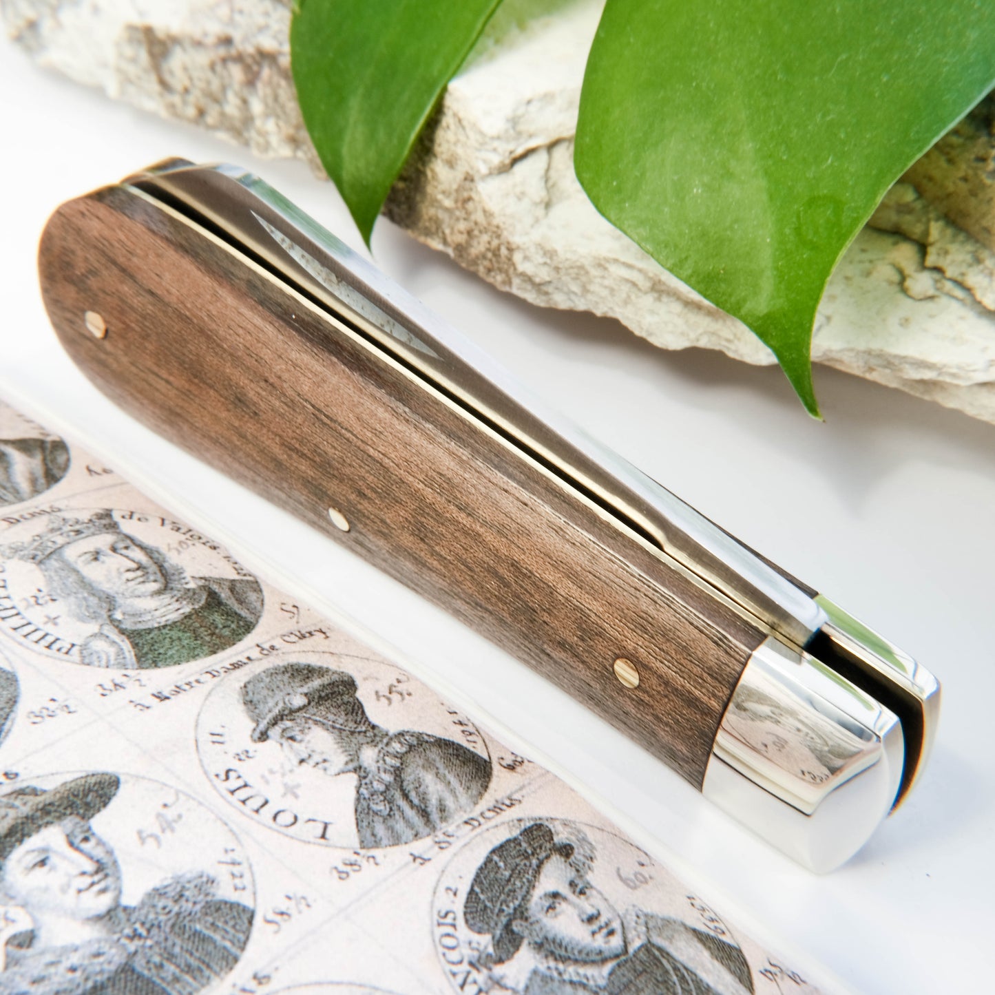 3.5" Lambsfoot Walnut