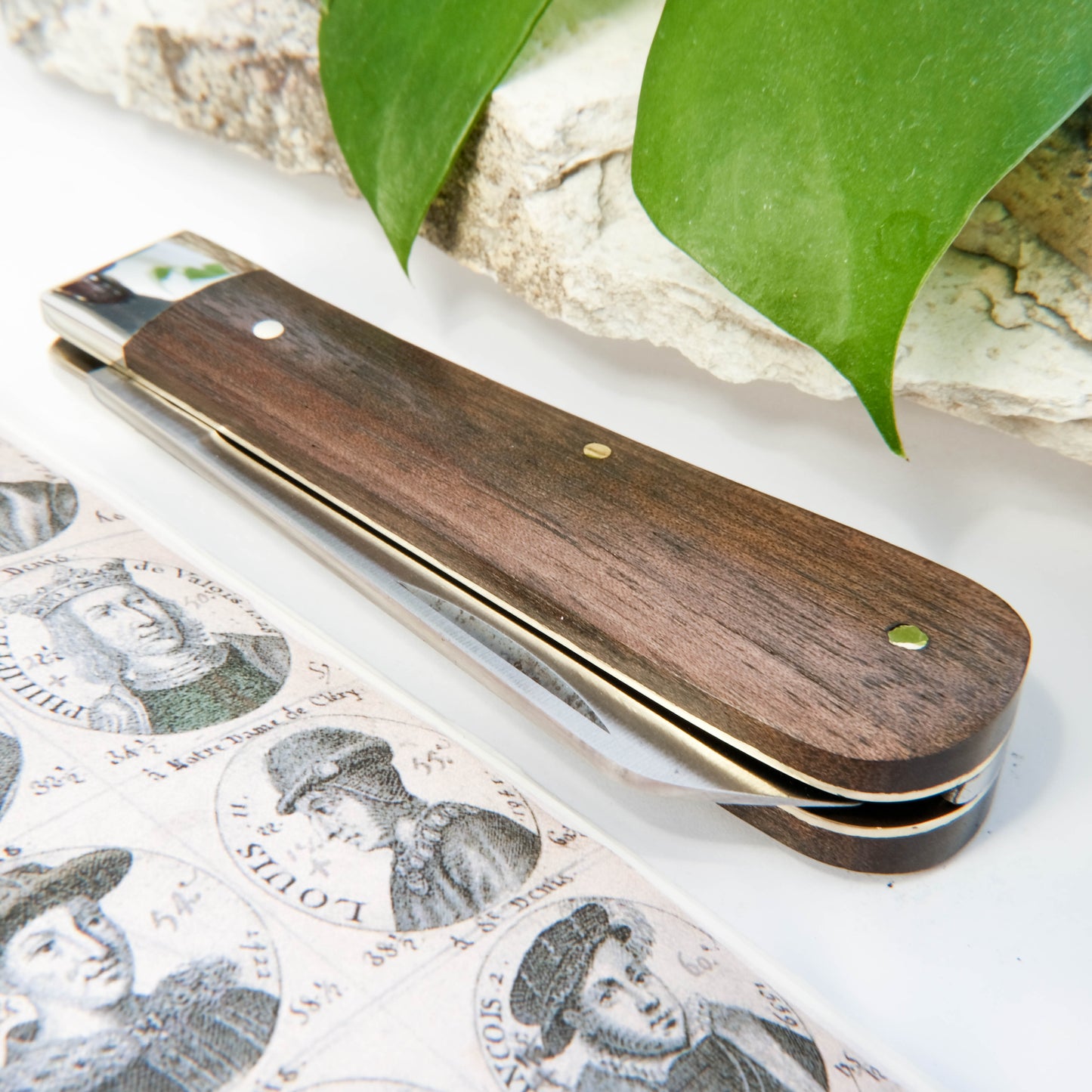 3.5" Lambsfoot Walnut