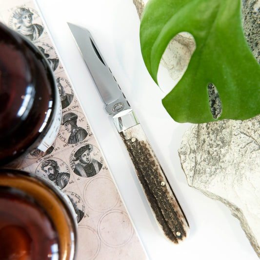 3.5" Lambfoot Stag Horn TWB Satin Finish