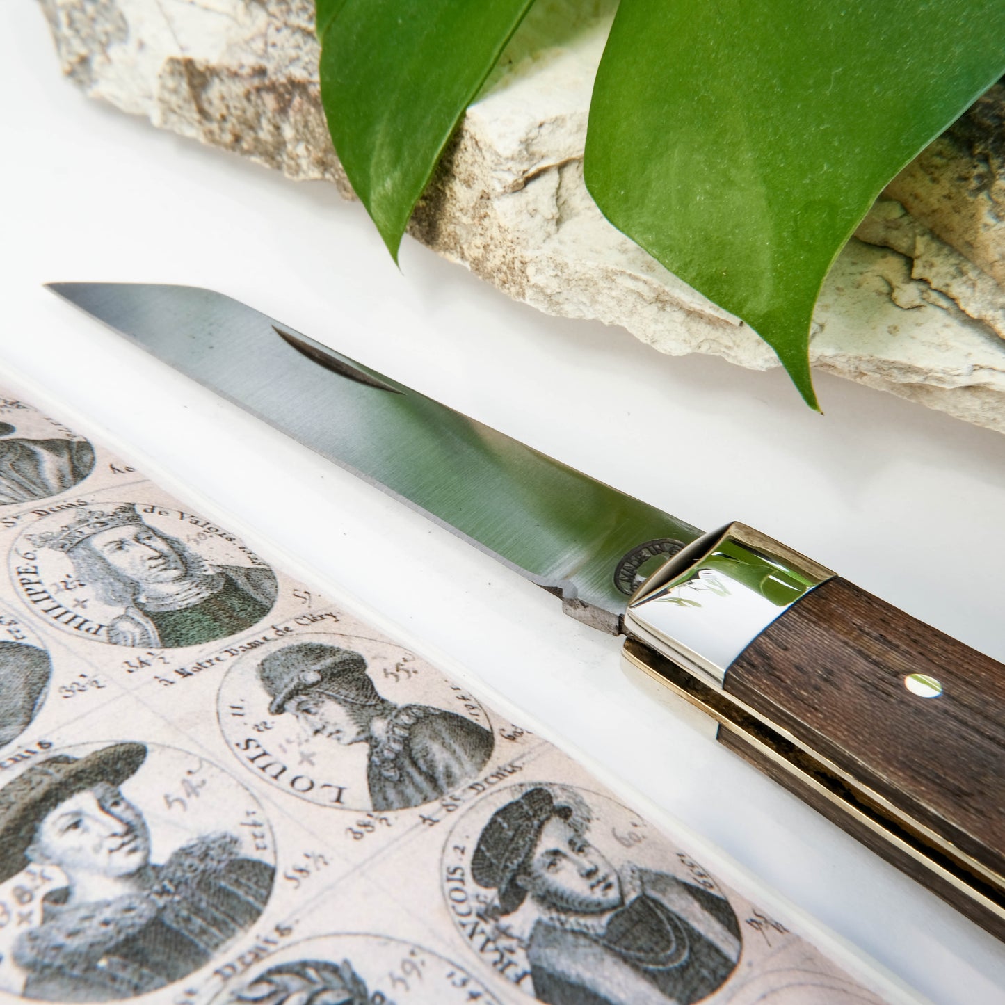 4" Lambsfoot Rosewood