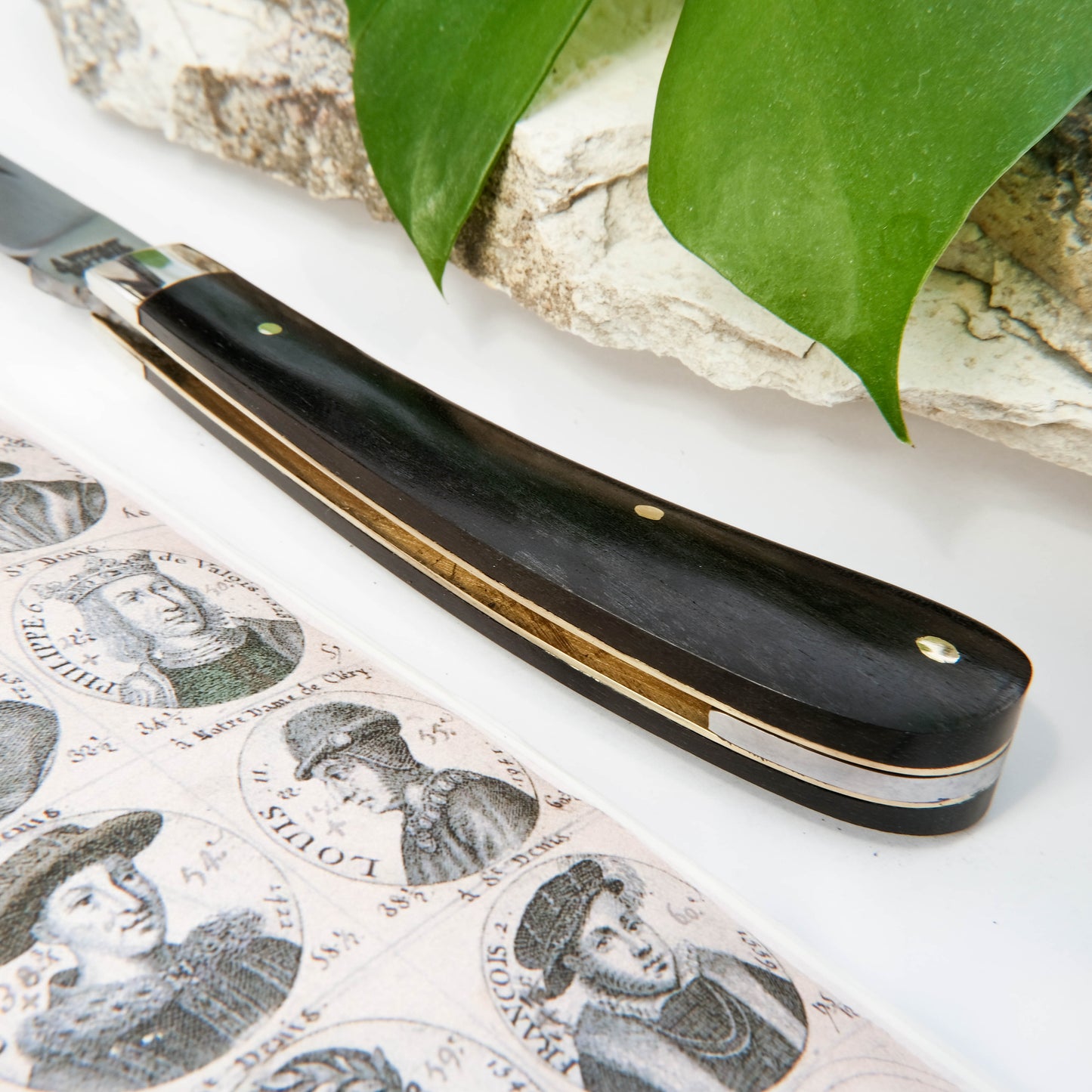 Ettrick Ebony