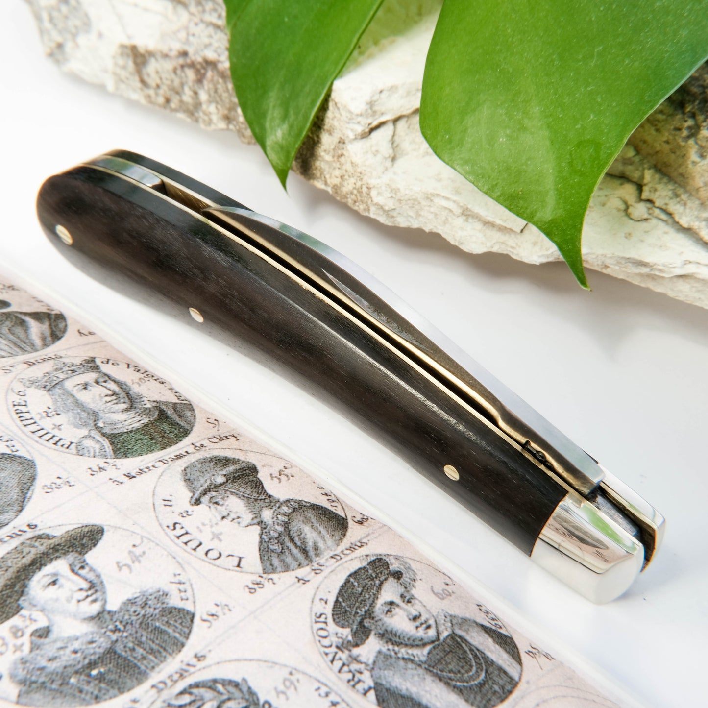 Ettrick Ebony
