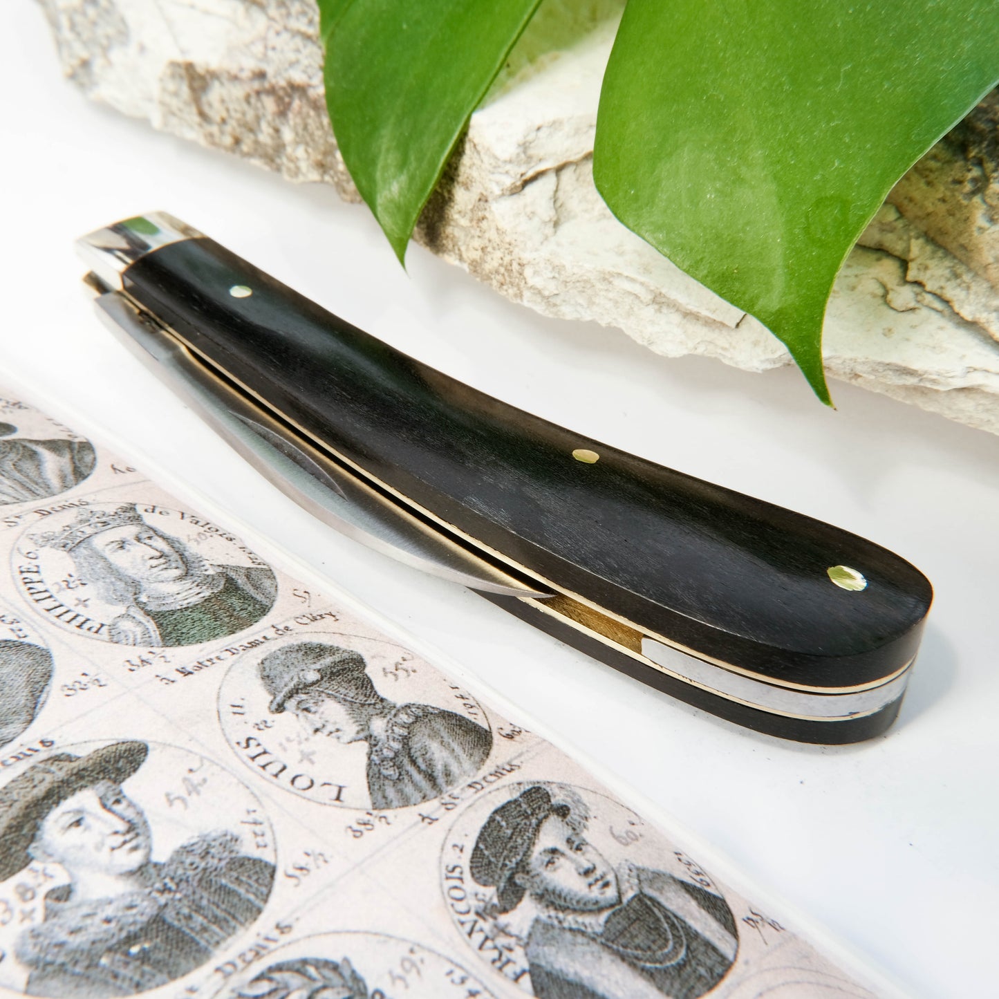 Ettrick Ebony