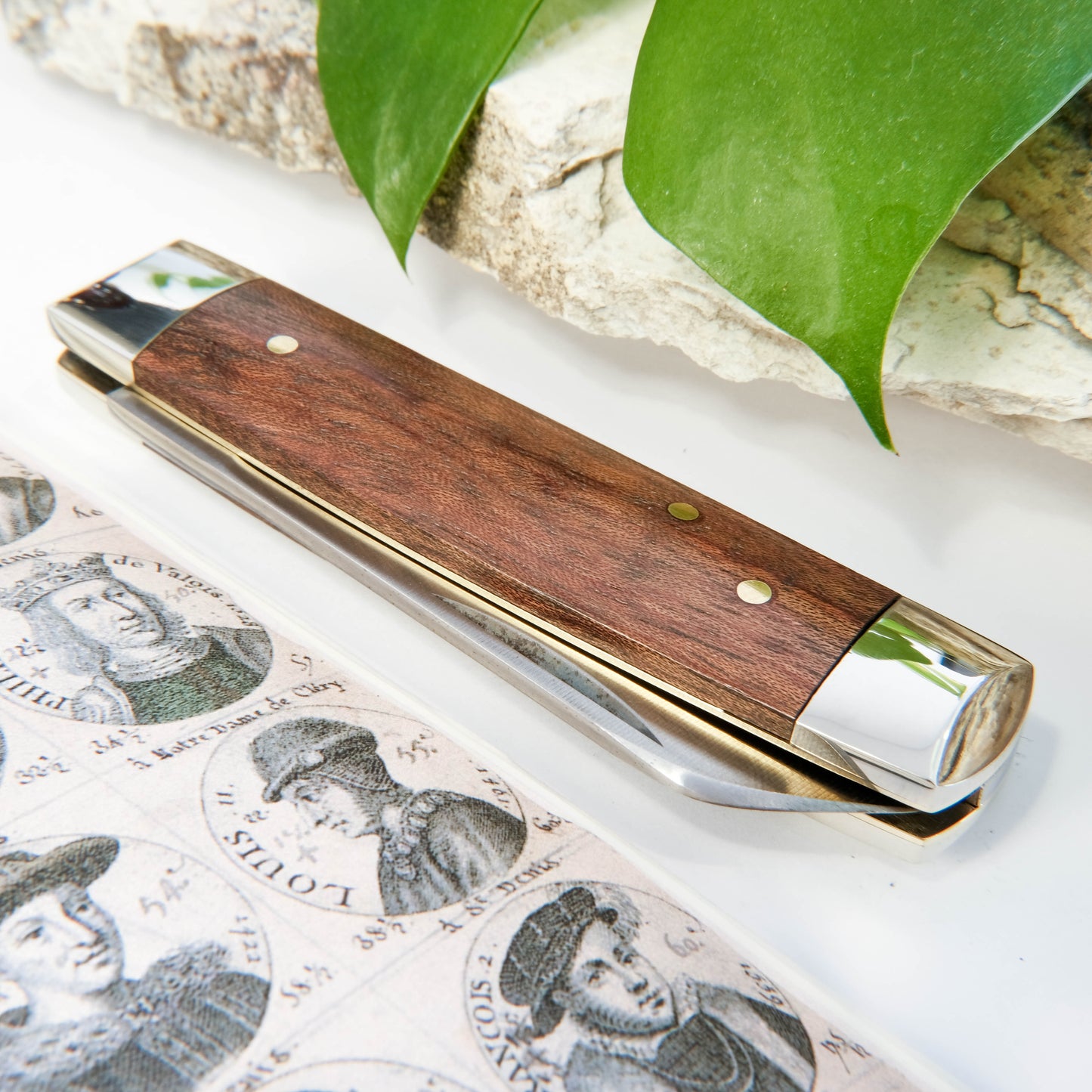 Senator Lambsfoot Cocobolo