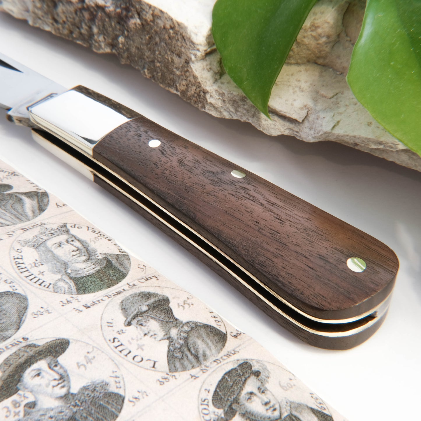 Barlow Clip Point Walnut
