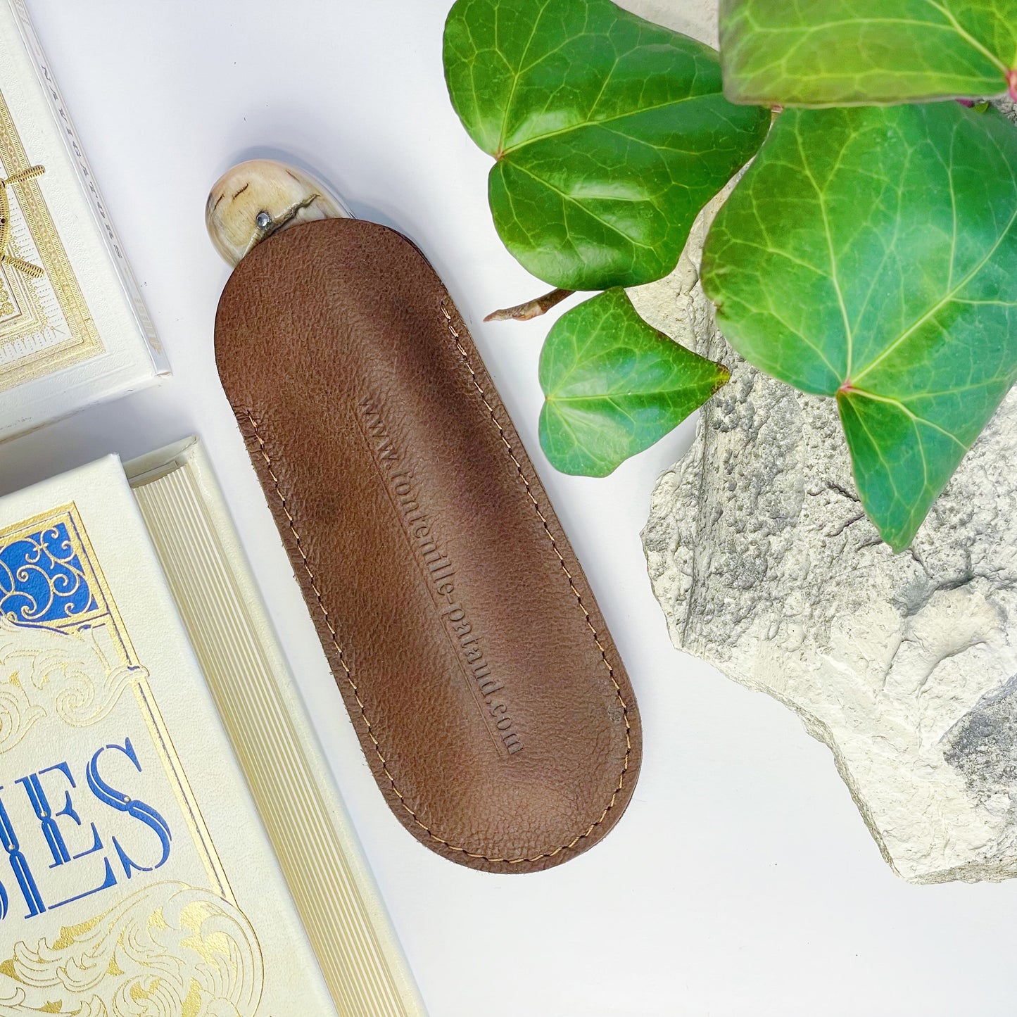 Le Capuchadou Poplar Burl