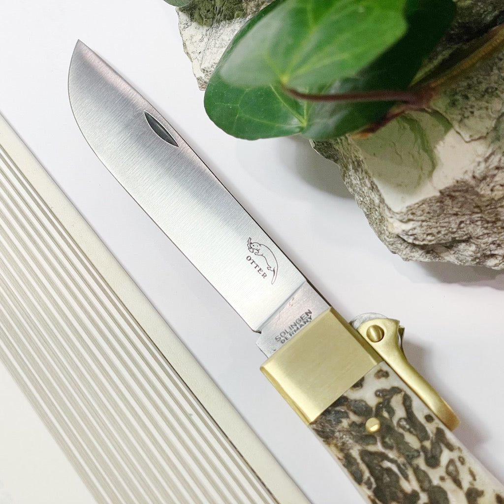 Otter Knife Buckhorn