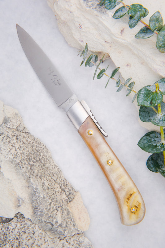 Corsican L’Anto Classic Ram Horn