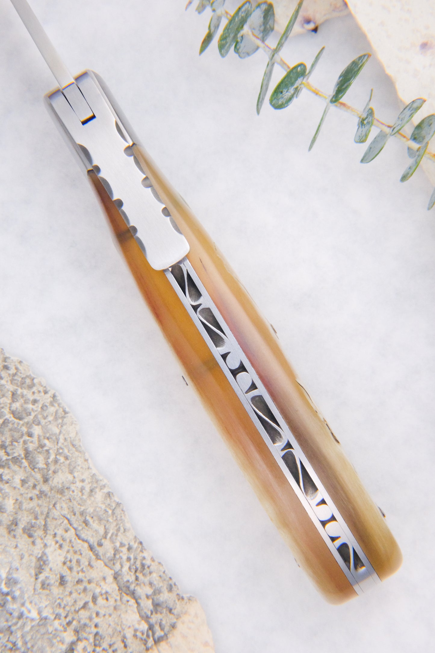 Corsican L’Anto Classic Ram Horn