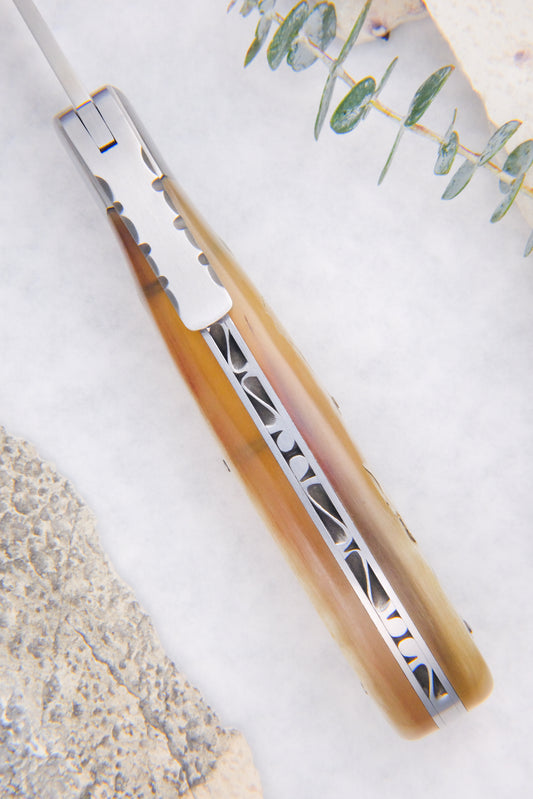 Corsican L’Anto Classic Ram Horn