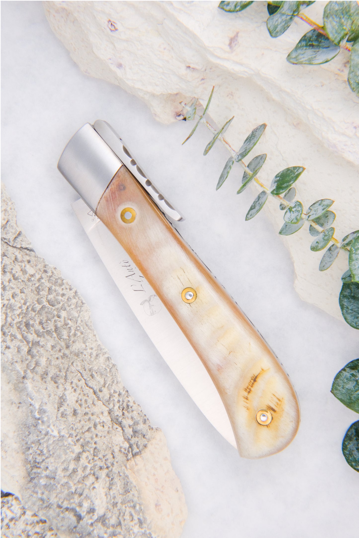 Corsican L’Anto Classic Ram Horn