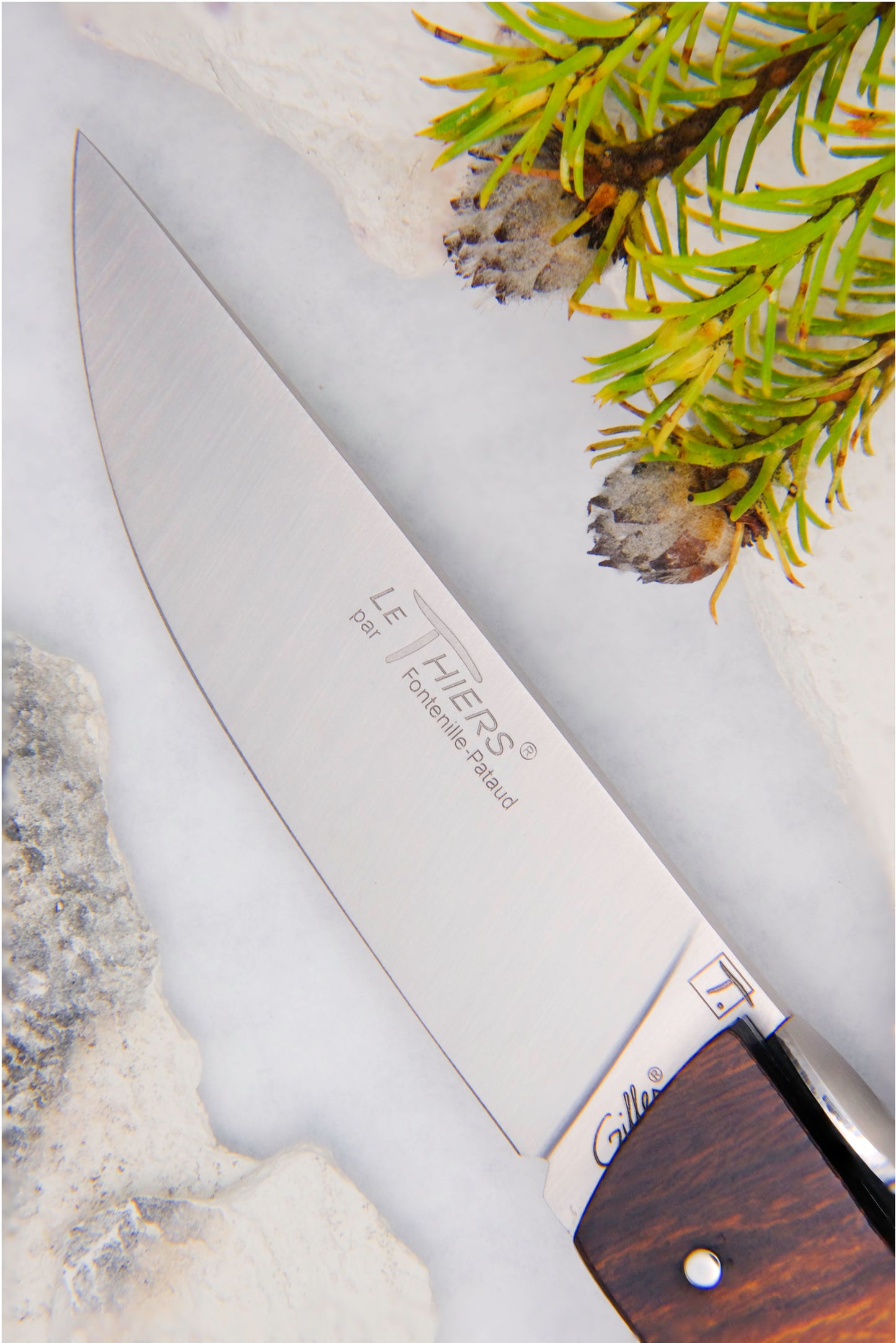 Le Thiers Gentleman Mother of Pearl