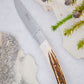 Le Thiers Nature Stag Horn