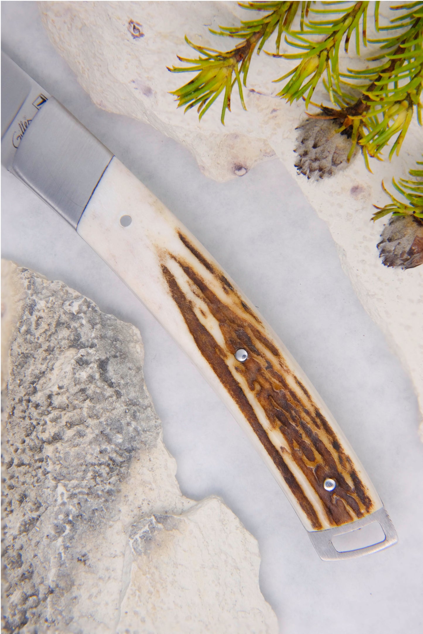 Le Thiers Nature Stag Horn