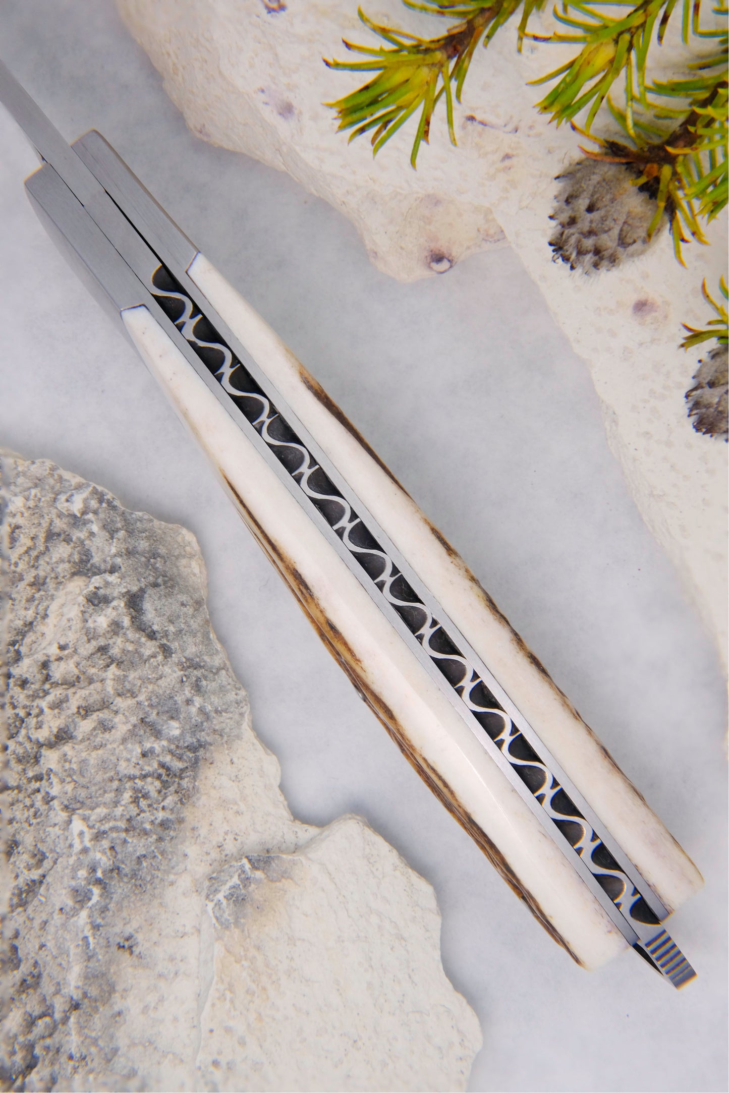 Le Thiers Nature Stag Horn