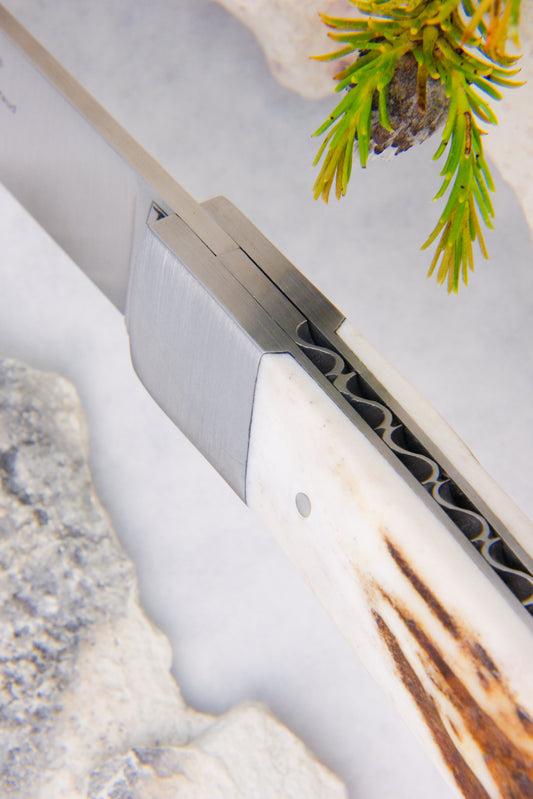 Le Thiers Nature Stag Horn