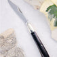 Slim Clip Point Buffalo Horn