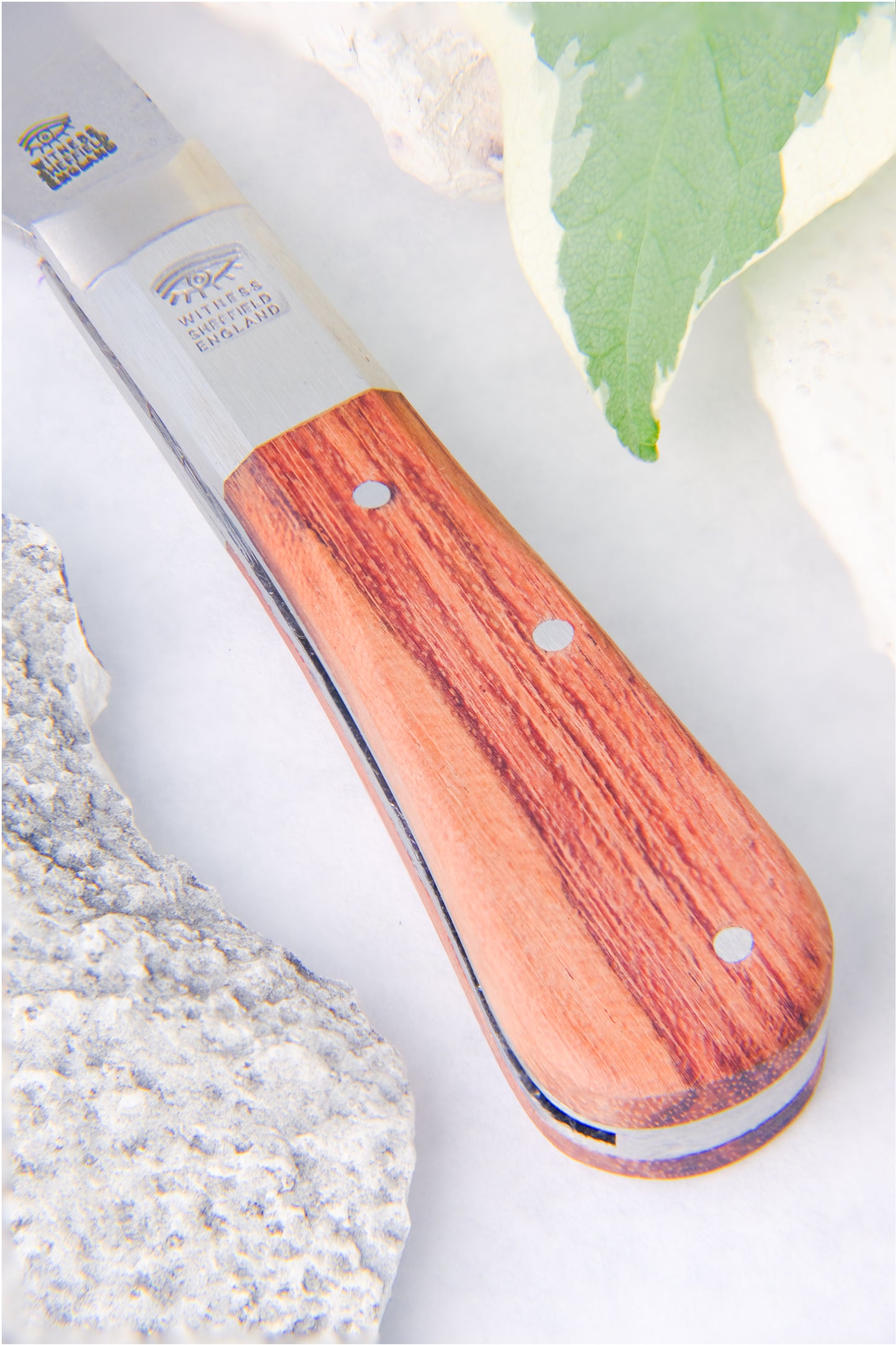 Wood Barlow