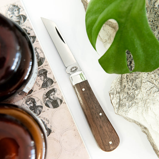 3.5" Lambsfoot Walnut