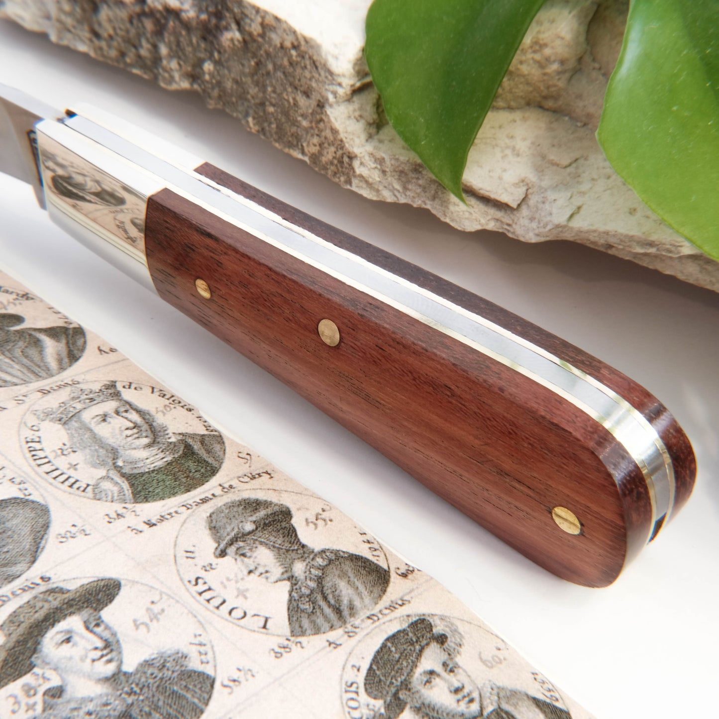 Barlow Clip Point Bubinga