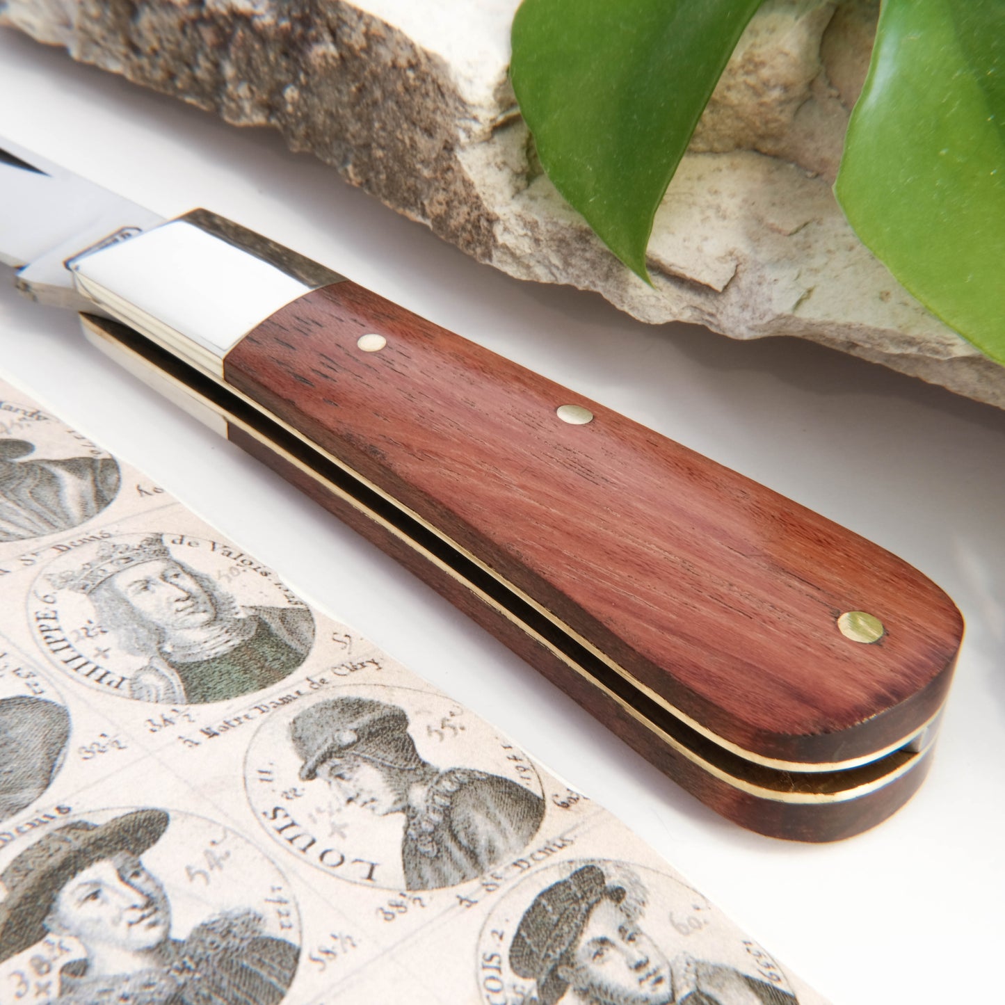 Barlow Clip Point Bubinga