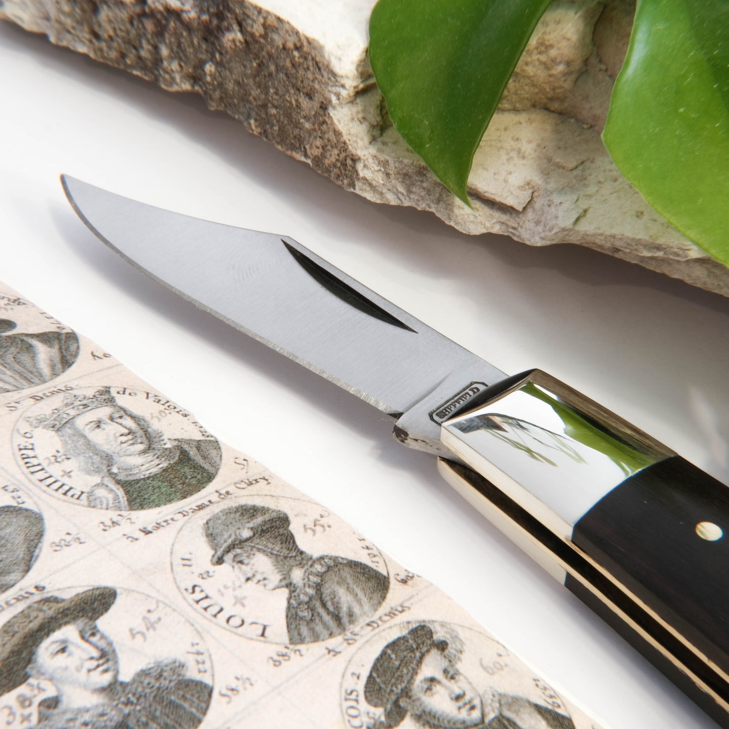 Barlow Clip Point Ebony