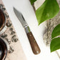 Barlow Clip Point Walnut